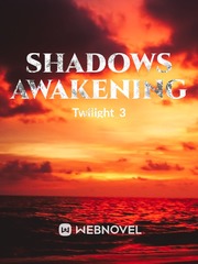 Shadow's Awakening Book