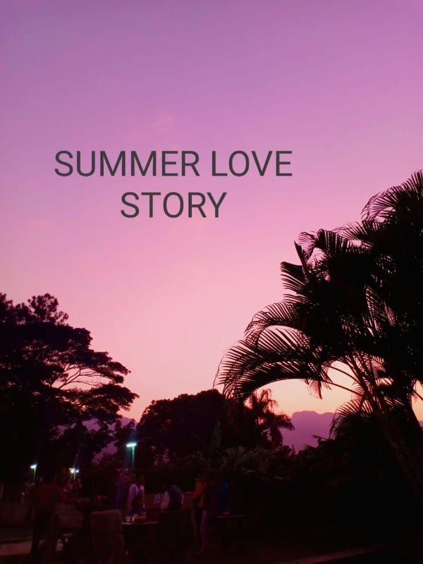 SUMMER LOVE STORY Book