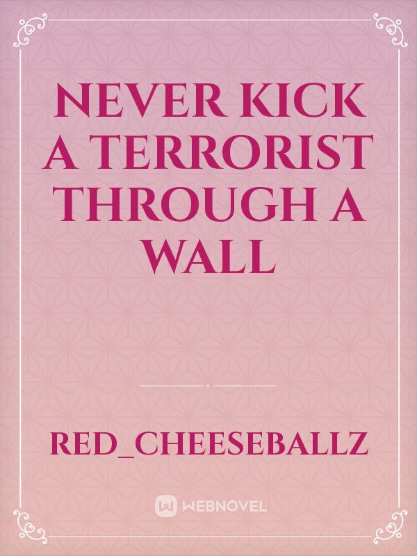 Never Kick a Terrorist Through a Wall Book