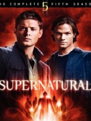 Supernatural Season Five Book