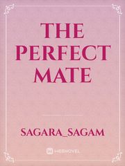 The Perfect Mate Book