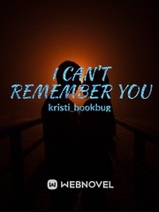 I Can't Remember You Book