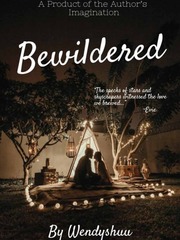 Bewildered | New York Book