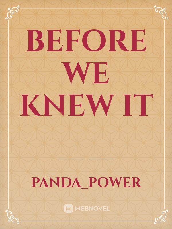 Before we knew it Book
