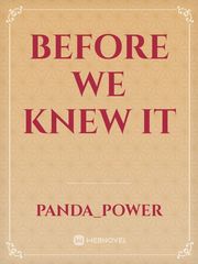 Before we knew it Book