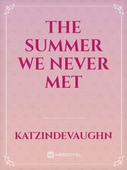 The Summer We Never Met Book