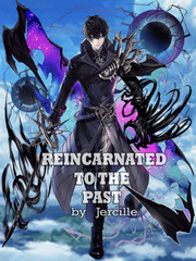 Reincarnated To The Past Book