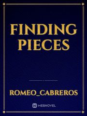 Finding Pieces Book