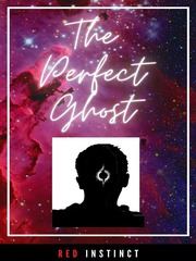 The Perfect Ghost Book