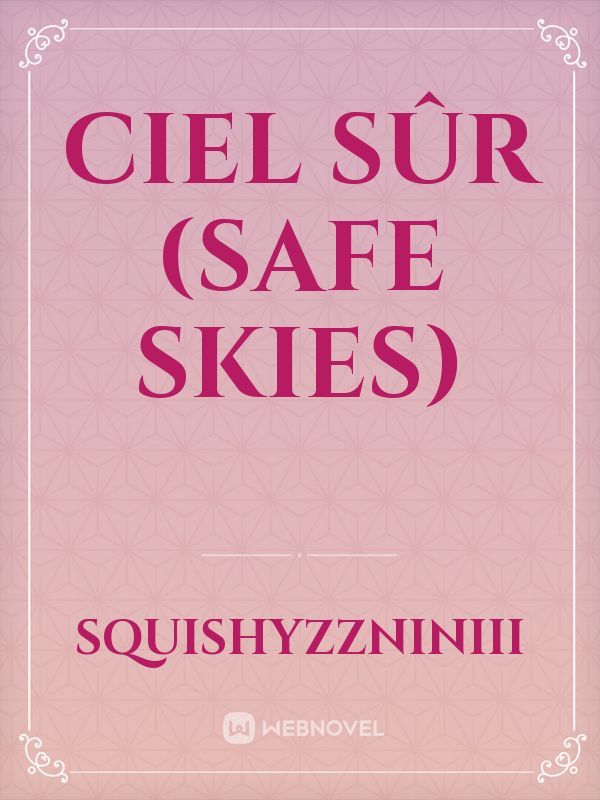 Ciel sûr (Safe Skies) Book