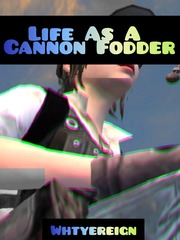Life As A Cannon Fodder Book