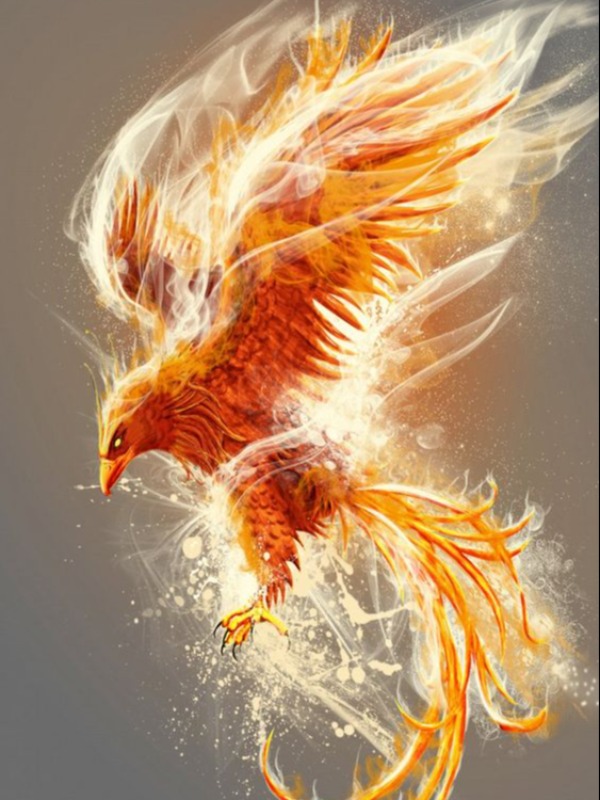 The Phoenix Guy