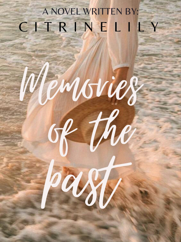 Memories Of The Past (Stand Alone #1) Book