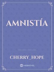 Amnistía Book
