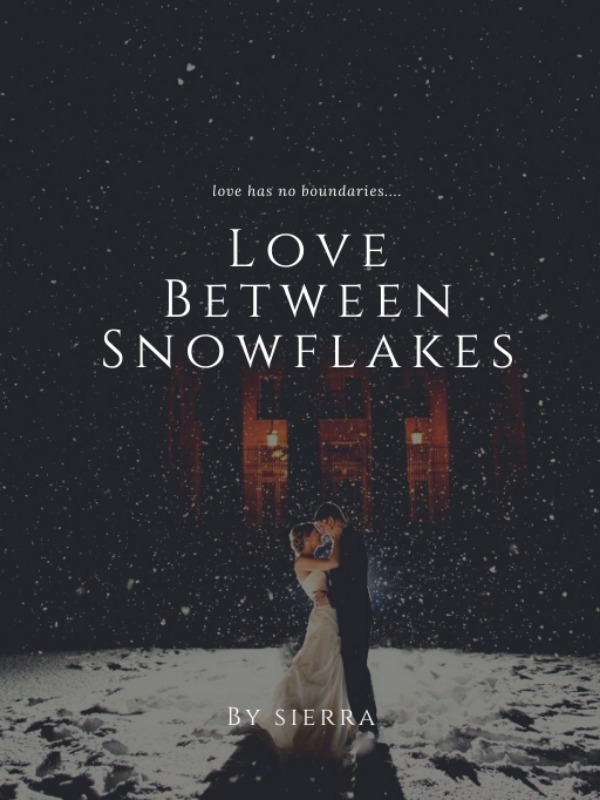 LOVE BETWEEN SNOWFLAKES Book