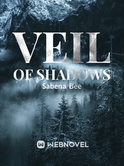 Veil Of Shadows Book