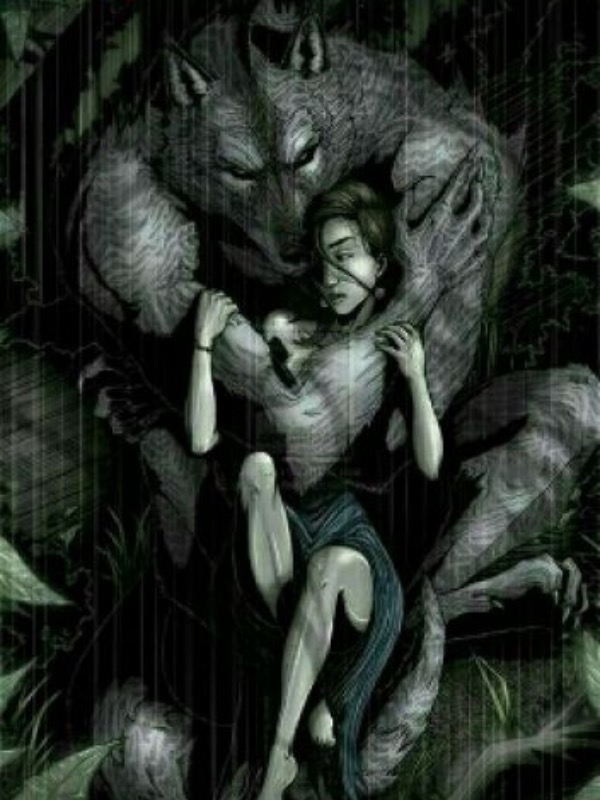 The love between vampire and werewolf Book