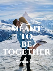 Meant to be together Book