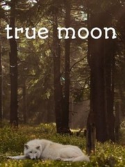True Moon Book