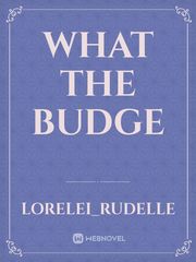 What the budge Book