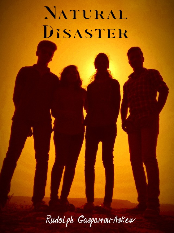 Natural Disaster (Paused) Book