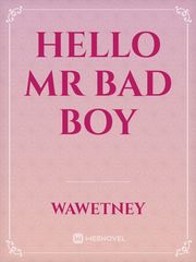 hello Mr bad boy Book
