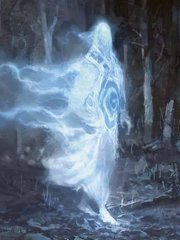 Reborn in the Avatar(TLA) as the Spirit Deity Book