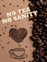 No Tea No Sanity Book