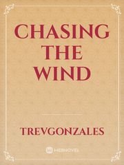 Chasing The Wind Book