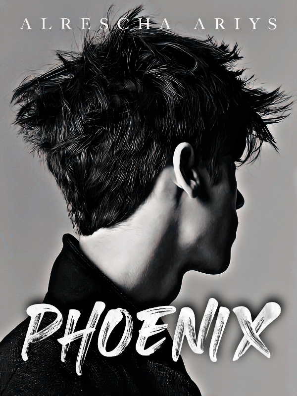 PHOENIX (I Can't See You)
