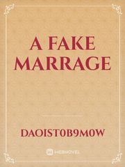 a fake marrage Book