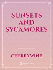 Sunsets and Sycamores Book