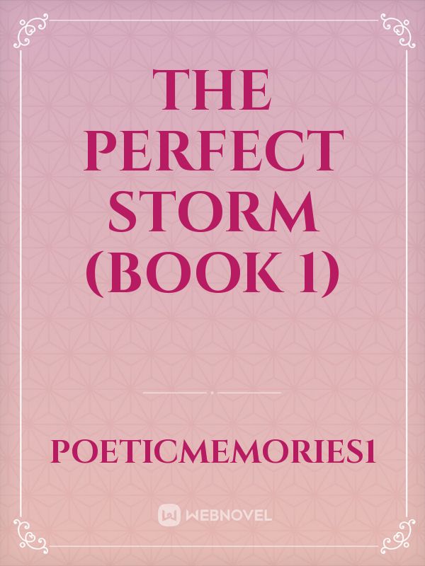 The Perfect Storm (Book 1) Book