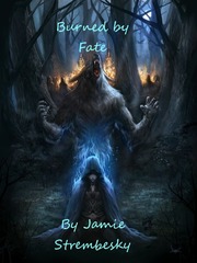 Burned by Fate Book