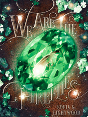 We Are The Fireflies Book