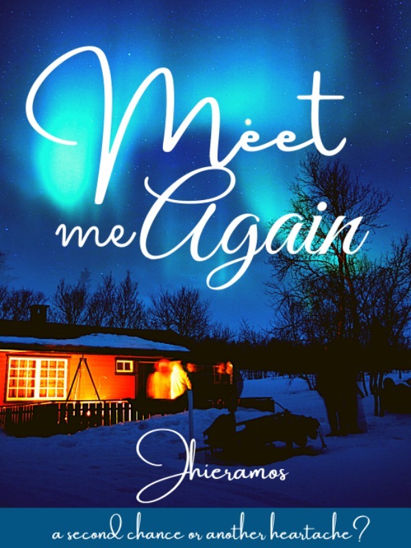 Meet Me Again Book