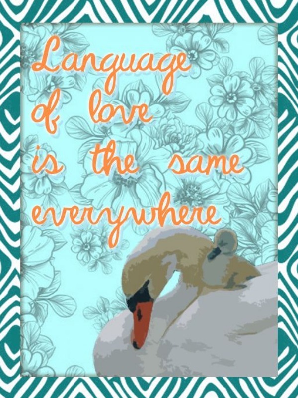 Language of love is the same everywhere Book