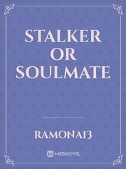 Stalker or Soulmate Book