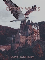 Osprey Wings Book