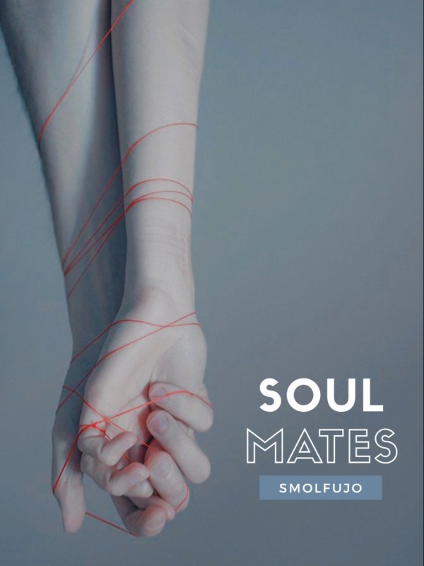 Soulmates [BL] Book