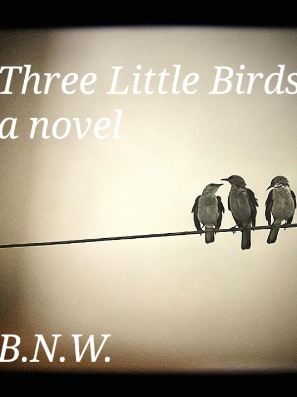 Three Little birds Book