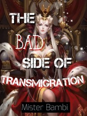 The Bad Side of Transmigration Book