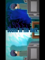 Bound In The Dark Book