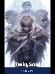Twin Soul Book