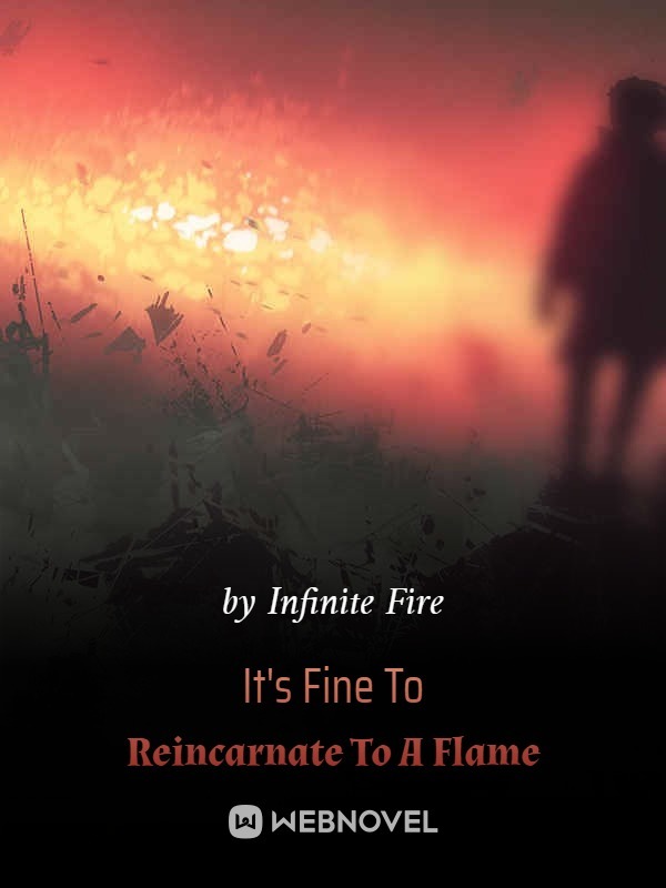 It's Fine To Reincarnate To A Flame Book