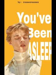 You've Been Asleep Book