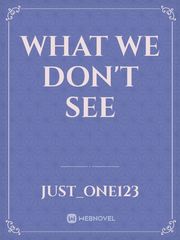 What we don't see Book