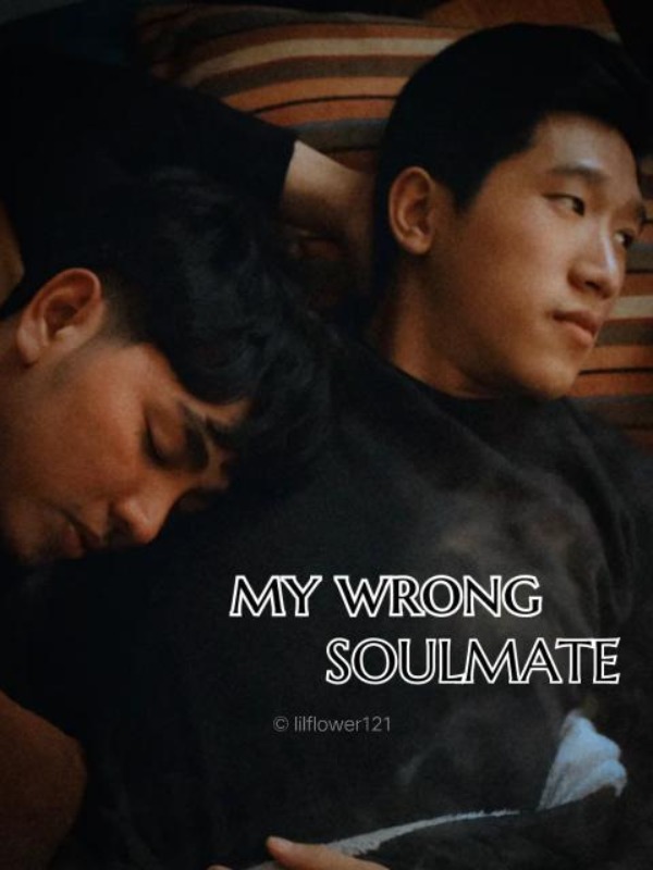 My Wrong Soulmate Book