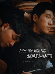 My Wrong Soulmate Book