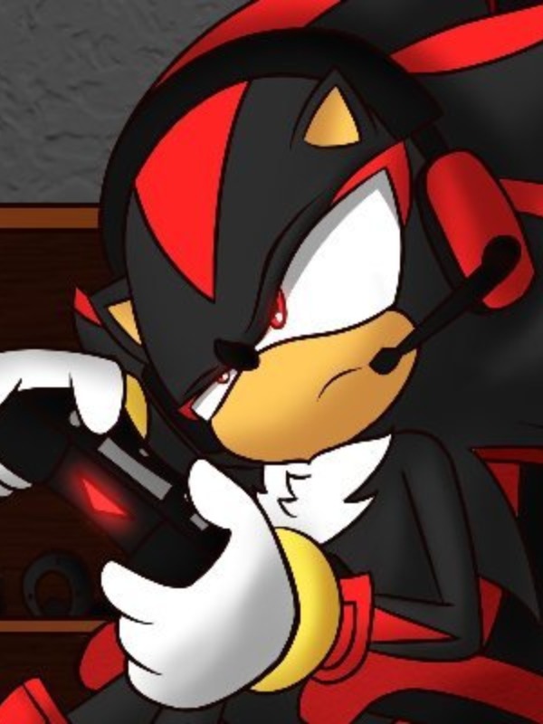 Reincarnated with the power of shadow the hedgehog